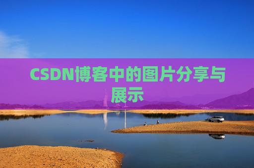 CSDN博客中的图片分享与展示